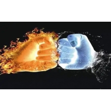 【半年報來了】 與 “粵” 齊飛，大有可為！